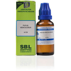 SBL FUCUS VESICULOSUS 6 CH DILUTION (30ML)