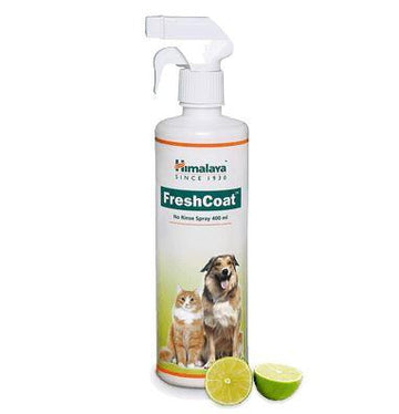 HIMALAYA FRESHCOAT 400 ML